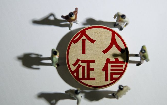 个人征信数据