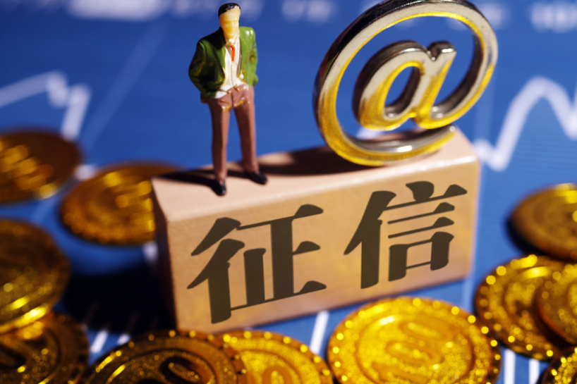企业征信数据